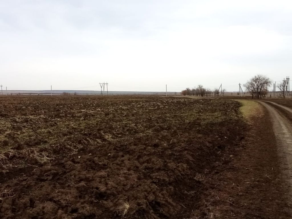 Сток клещевка. Село Клещевка Донецкая область. Село Клещевка Саратовская область. Клещевка растение.